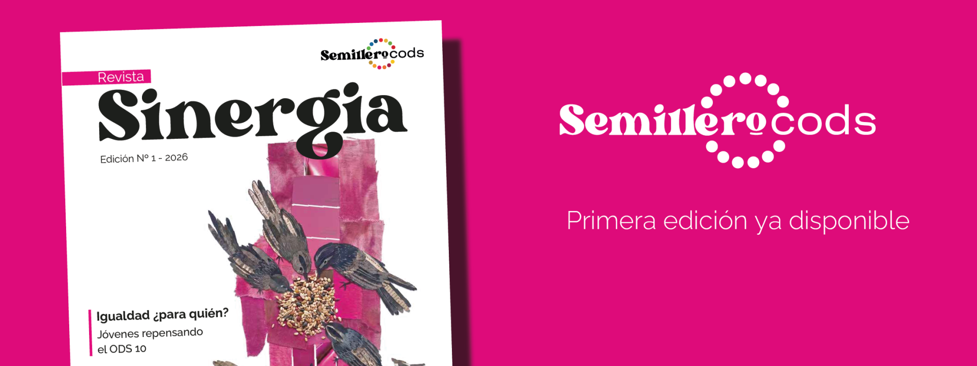 slide_sinergia